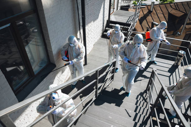 Reliable Ridgeway, AK Mold Removal Solutions