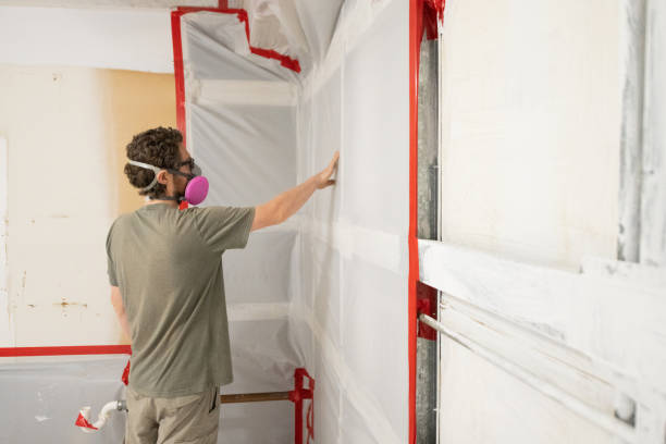 Best Mold Prevention Services  in Ridgeway, AK