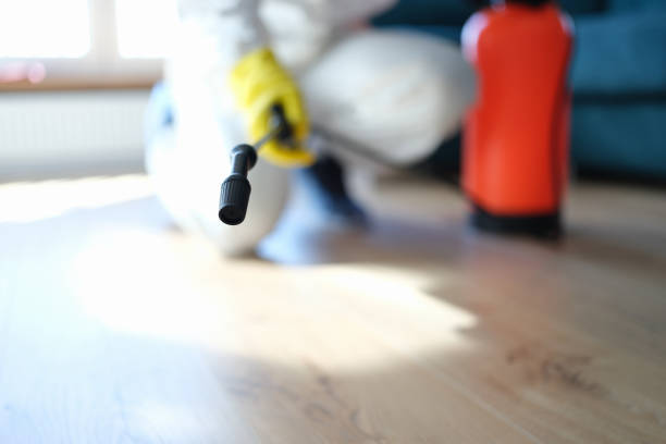 Best Indoor Air Quality Assessment  in Ridgeway, AK