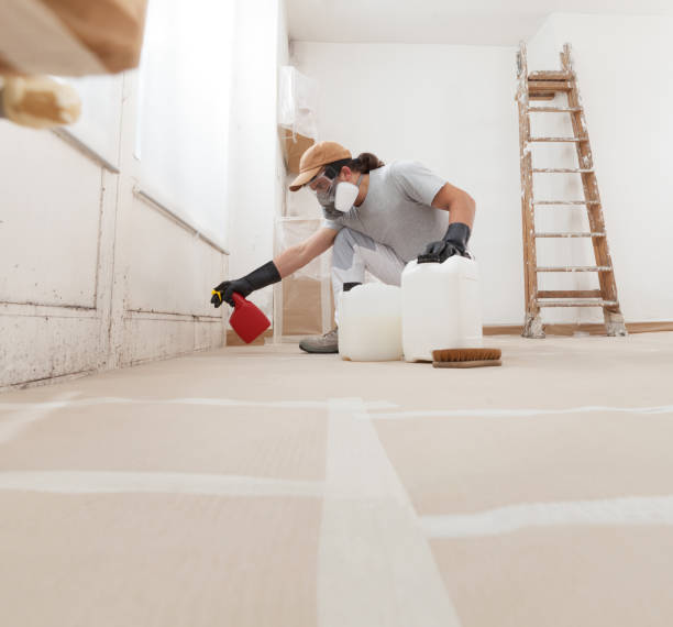 Best HVAC Mold Inspection and Cleaning  in Ridgeway, AK